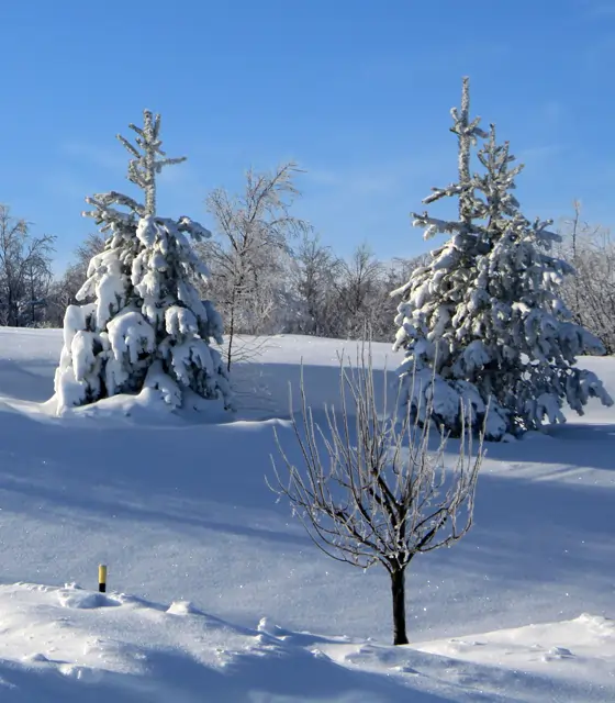 Winterimpression in Altenberg