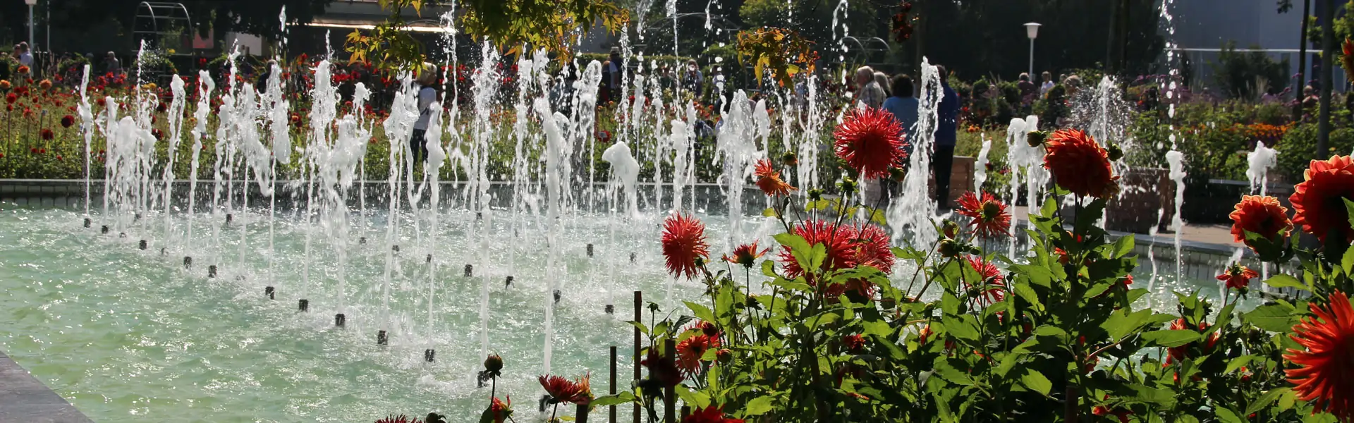 Gartenbauanlagen Erfurt Gartenbauanlagen Erfurt