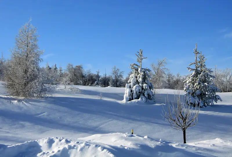 Winterimpression im Erzgebirge