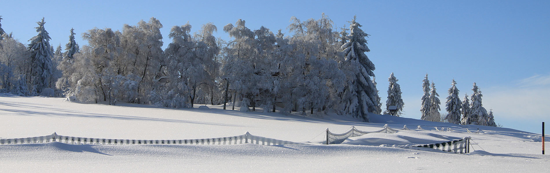 Region Osterzgebirge im Winter
