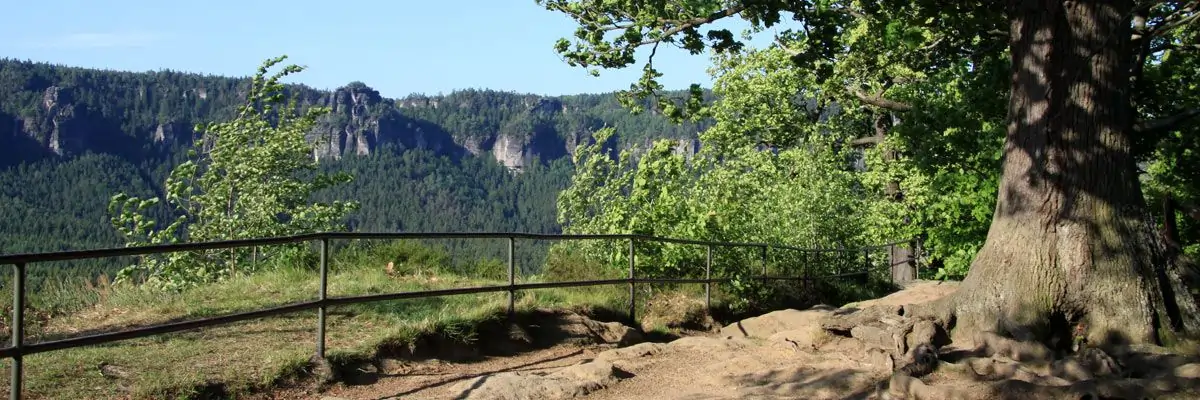 Wildenstein Blick Wildenstein Blick